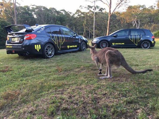 WHITELINE Australian Bush Fire Wildlife Appeal