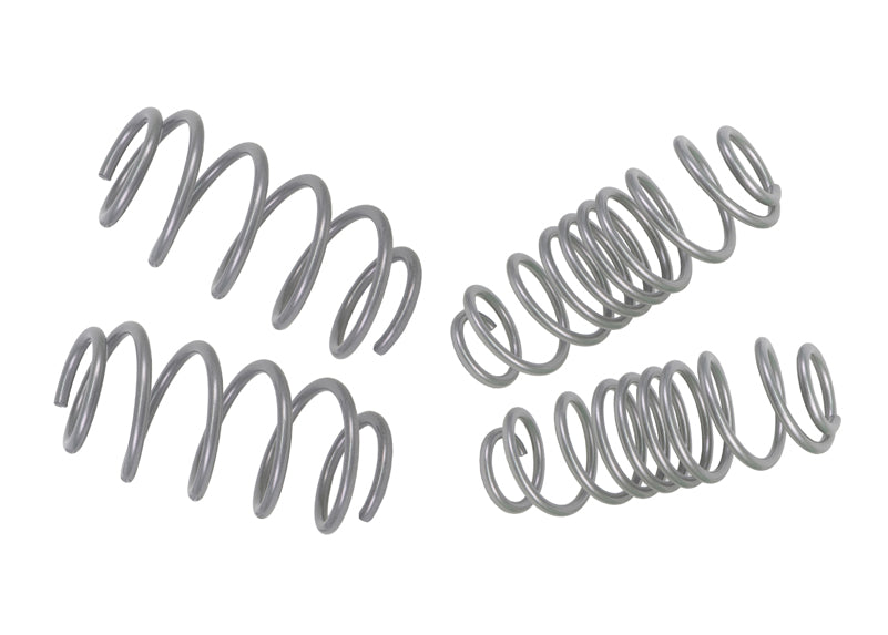 Performance Lowering Kit Ford Fiesta WZ 2013-2018