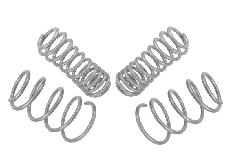 Performance Lowering Kit Ford Mustang S197 2004-2014