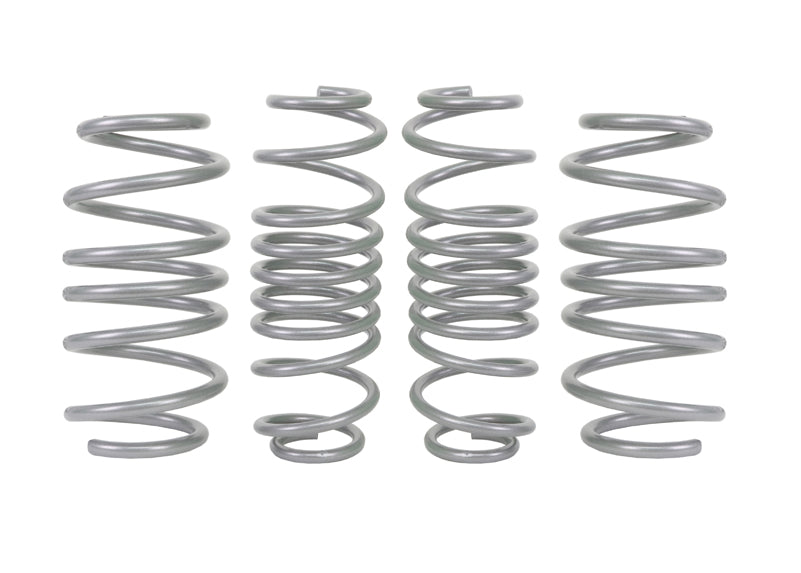 Performance Lowering Kit Ford Fiesta ST WZ 2013-2018