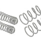 Performance Lowering Kit Ford Mustang S197 2004-2014